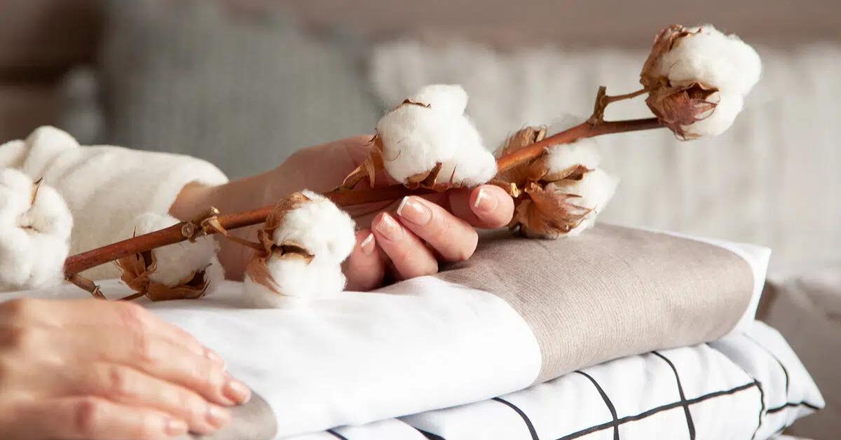 World Cotton Day 2023