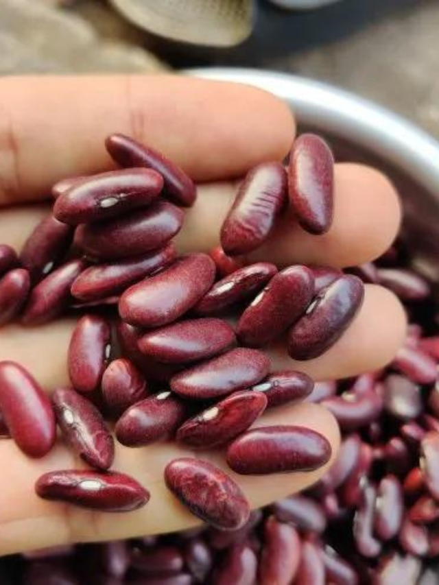 Rajma for Weight Loss: The Secret to Healthy and Effective Dieting